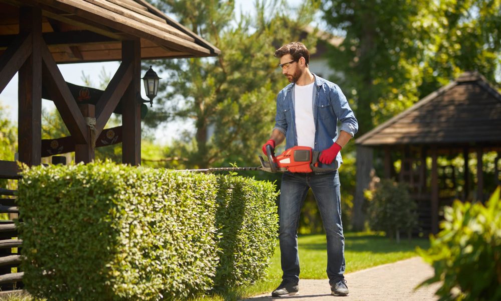Caucasian male gardener shaping overgrown boxwood bush by hedge trimmer in garden. Front view of handyman using electric branch lopper for seasonal work in summer. Concept of seasonal work.