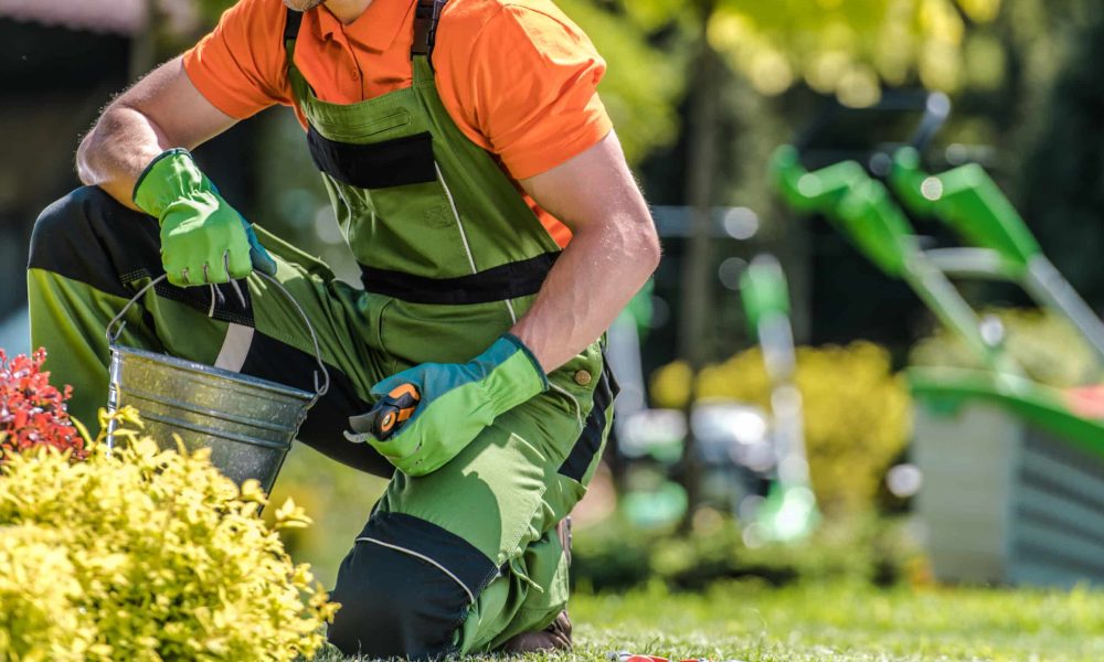 Residential Garden Spring Maintenance Performed by Professional Caucasian Gardener in His 40s. Gardening Industry Theme.