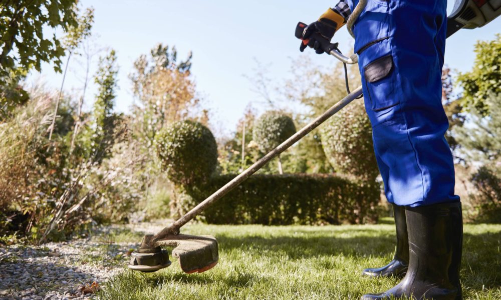 Gardener with weedwacker cutting the grass in the garden